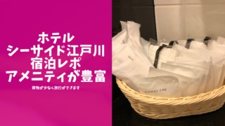 ホテルシーサイド江戸川の宿泊レポブログのアイキャッチ