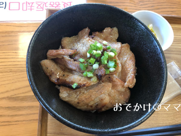 道の駅清川のレストランの恵水ポークの豚丼
